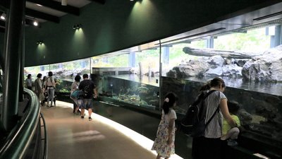 🐠 사가미강 후레아이 과학관 아쿠아리움 사가미하라 이미지 2